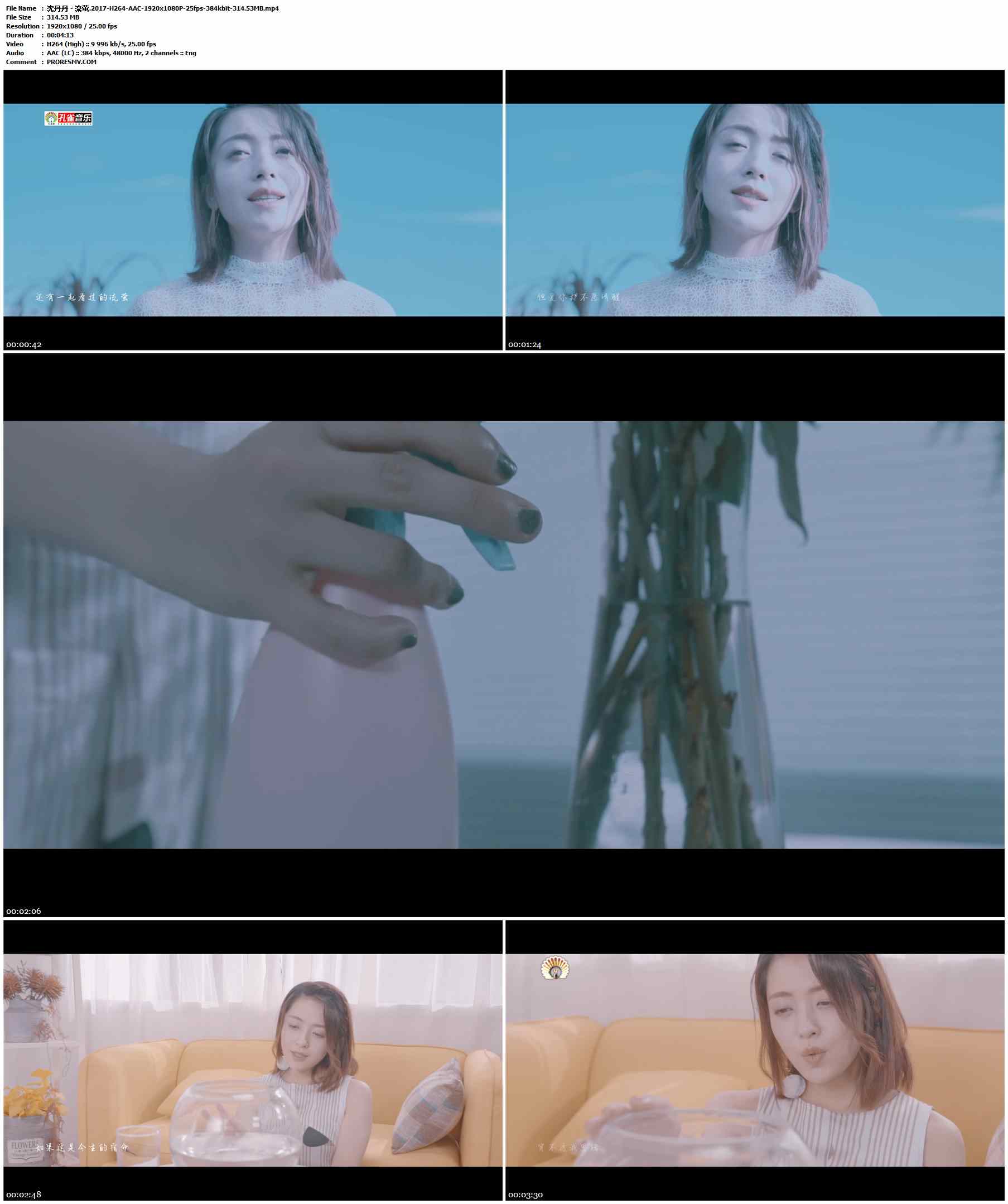 沈丹丹 - 流萤.2017-H264-AAC-1920x1080P-25fps-384kbit-314.53MB官方MV_高清MV