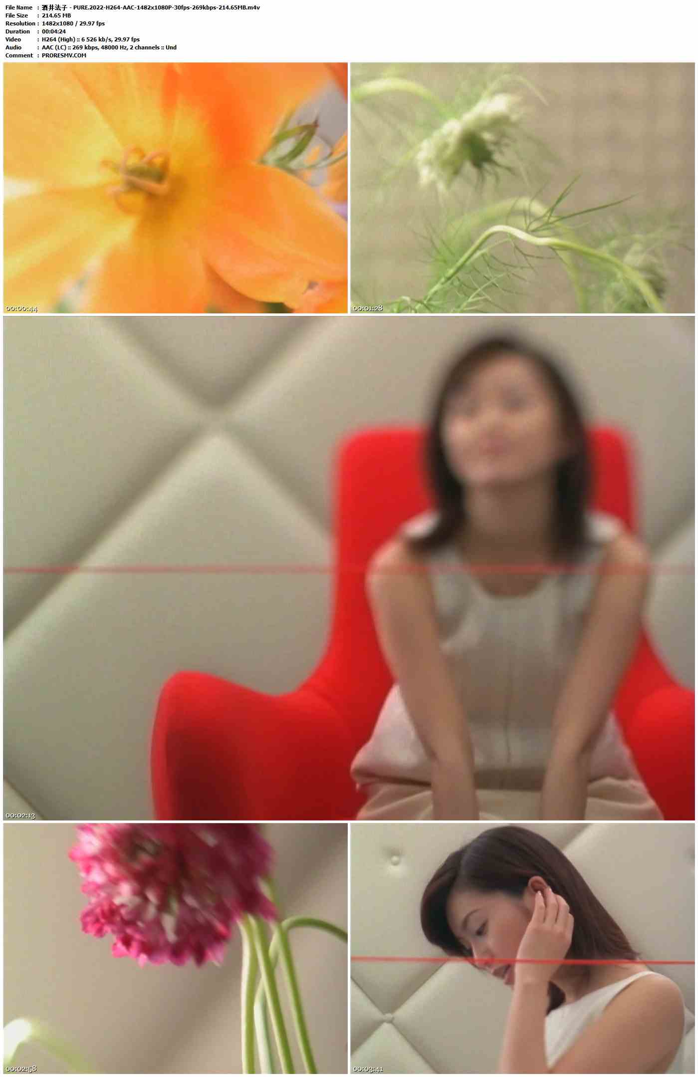 酒井法子 - PURE.2022-H264-AAC-1482x1080P-30fps-269kbps-214.65MB官方MV_高清MV