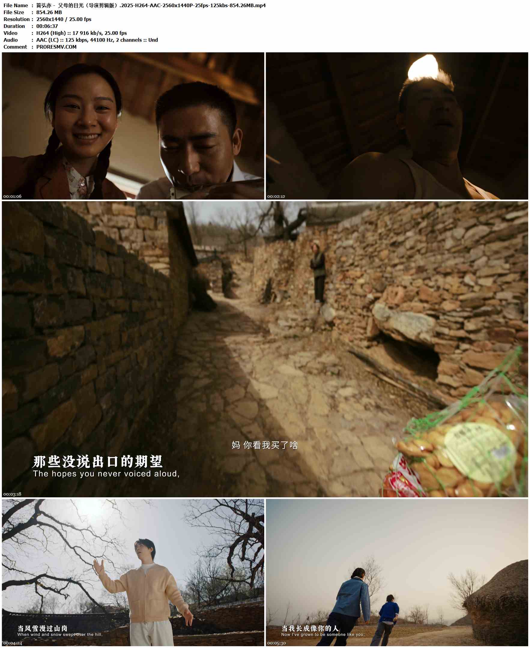 简弘亦 -  父母的目光（导演剪辑版）.2025-H264-AAC-2560x1440P-25fps-125kbs-854.26MB官方MV_高清MV