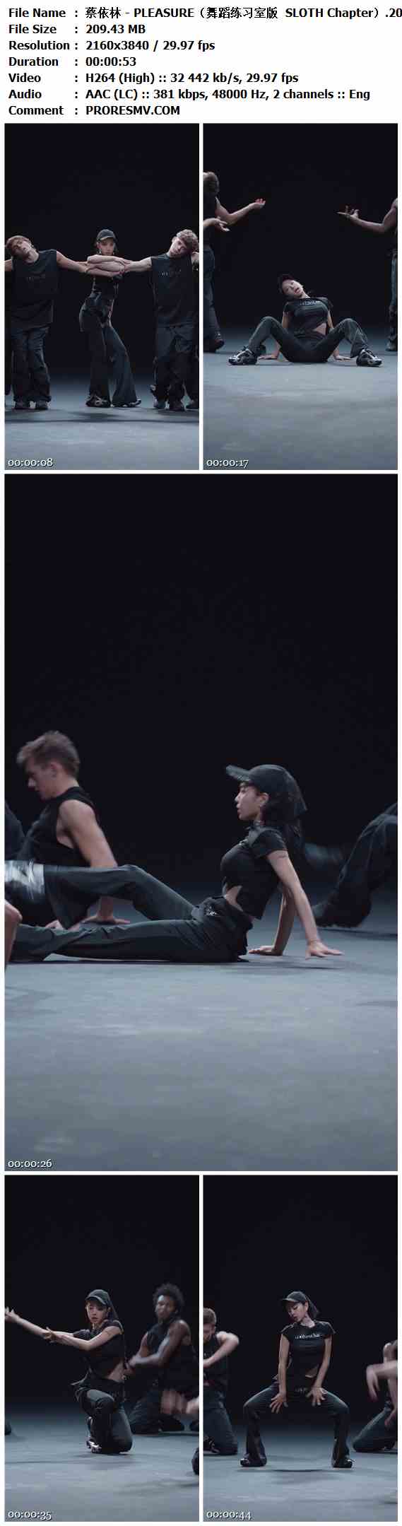 蔡依林 - PLEASURE（舞蹈练习室版  SLOTH Chapter）.2025-H264-AAC-2160x3840P-30fps-381kbs-209.43MB官方MV_高清MV