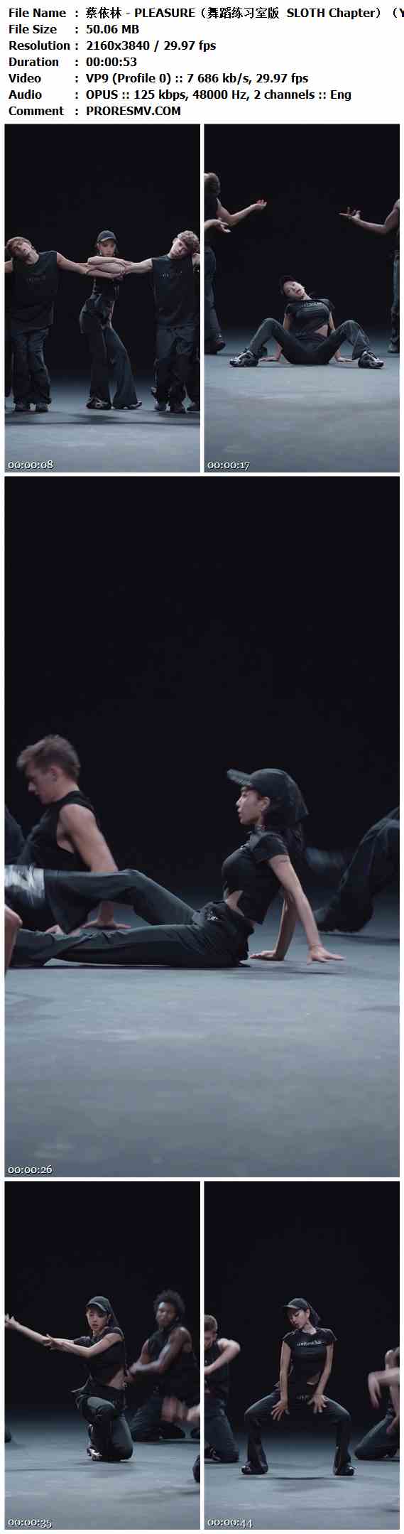 蔡依林 - PLEASURE（舞蹈练习室版  SLOTH Chapter）（YTB）.2025-VP9-OPUS-2160x3840P-30fps-124kbs-50.06MB官方MV_高清MV
